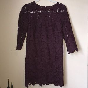 LOFT lace dress plum burgundy